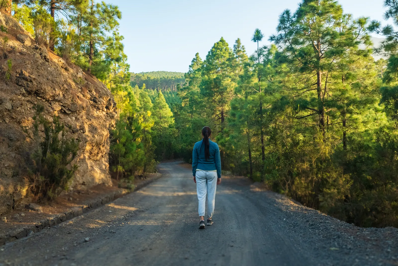 Mujer de espaldas camina sola por un camino de tierra rodeado de pinos bajo el sol